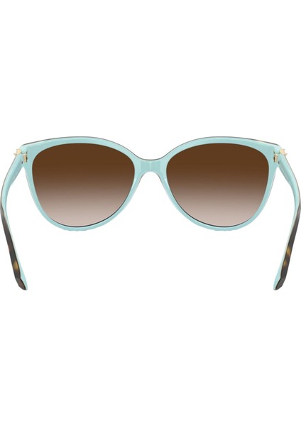 Kadın Güneş Gözlüğü 0TF4089B5881343B indirimleri
