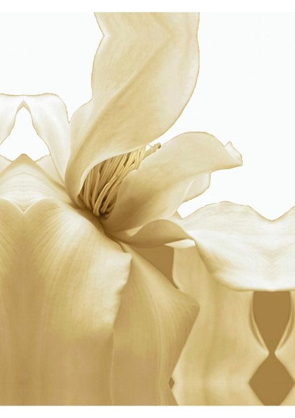 Soft Bej Soyut Yaprak Şekil 1 Çerçeveli Temperli Cam Tablo Tekli Dikey fiyatları