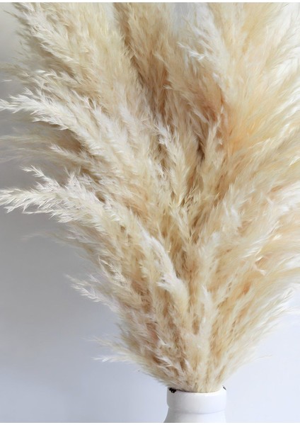 Krem-Beyaz Bitki Model 1 Çerçeveli Temperli Cam Tablo Tekli Dikey fiyatları