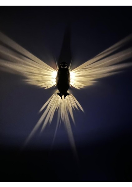 Siyah Kartal 3D Dekoratif Gece Lambası, Şık ve Modern Aplikasyon, Plastik Materyal