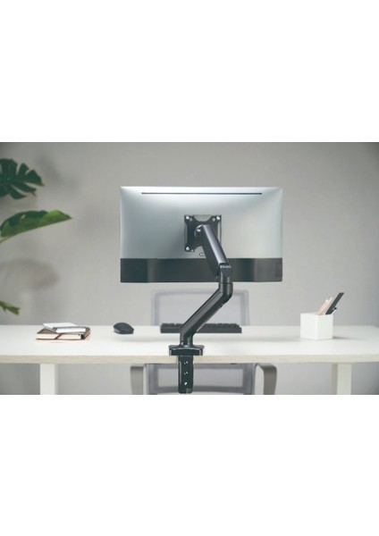 GO-5336 Tekli Monitor Kolu 17"-32" 2-9kg