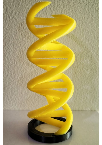 Çift Sarmal Dna Modeli