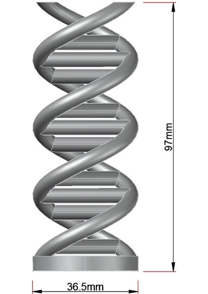 Çift Sarmal Dna Modeli