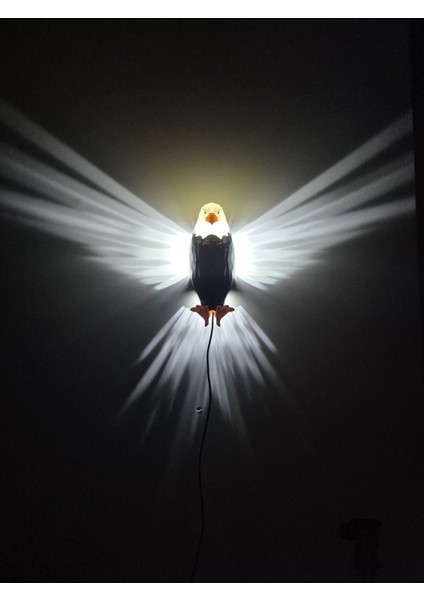 Renkli Kartal Aplik ile şık dekorasyon, E27 duy, siyah plastik materyal