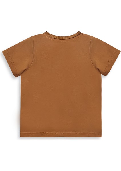 Dinozor Erkek Bebek T-Shirt Kaşkorse Şort Takım