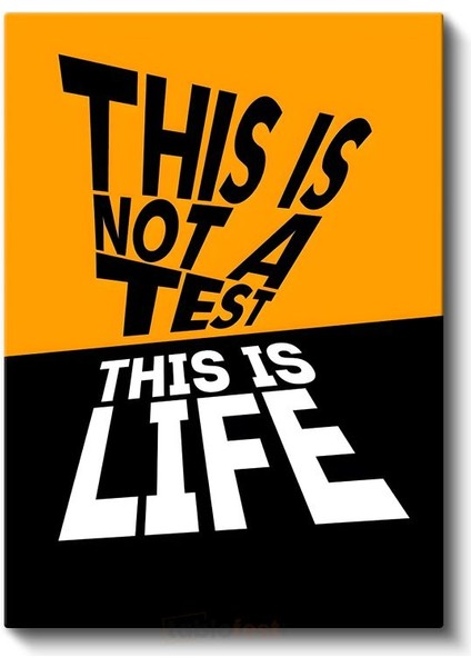 This Is Not A Test This Is Life - Kontrast Renkli Motivasyon Kanvas Tablo