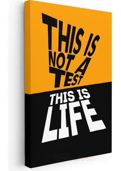 This Is Not A Test This Is Life - Kontrast Renkli Motivasyon Kanvas Tablo
