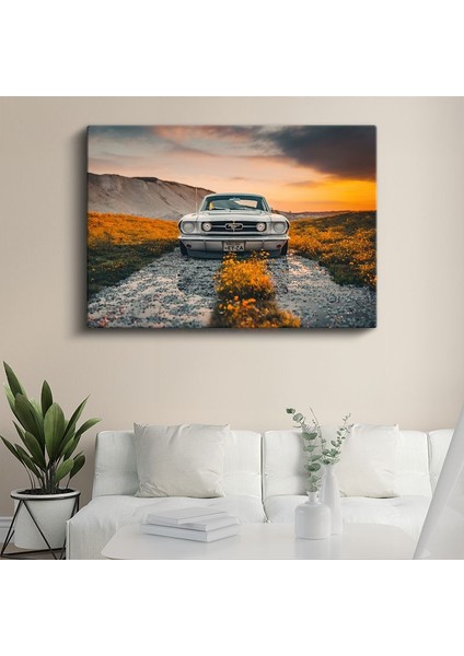 Ford Mustang Klasik - Beyaz Amerikan Muscle Car Kanvas Tablo