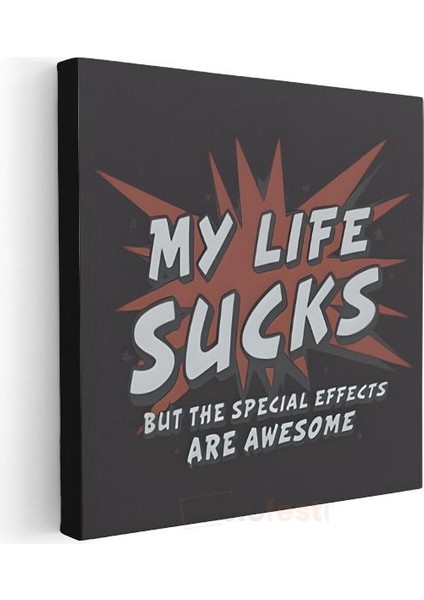 My Life Sucks But The Special Effects Are Awesome - Mizahi Komik Yazı Kanvas Tablo