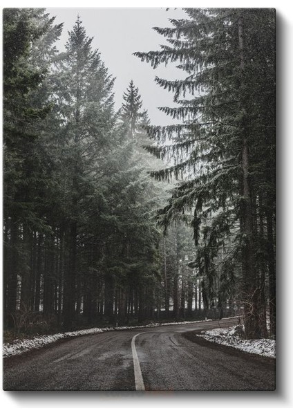 Orman Patikası - Sisli Çam Ağaçları Kanvas Tablo fiyatları