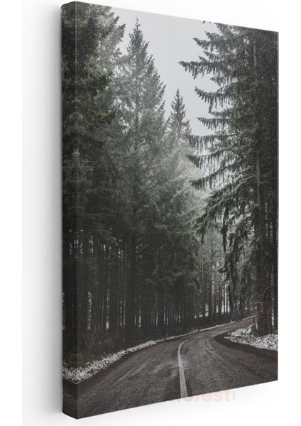 Orman Patikası - Sisli Çam Ağaçları Kanvas Tablo modelleri