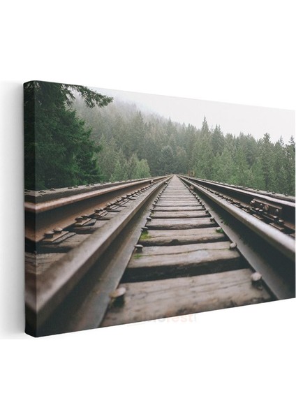 Orman Demiryolu - Sisli Çam Ağaçları Arasında Uzanan Hat Kanvas Tablo modelleri