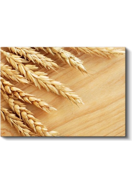 Altın Buğday Başakları - Doğal Bereket Kanvas Tablo fiyatları