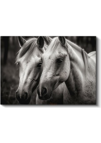Beyaz Atlar - Siyah Beyaz Dünyada Iki Dost Kanvas Tablo fiyatları