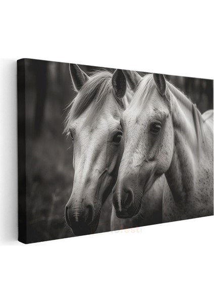 Beyaz Atlar - Siyah Beyaz Dünyada Iki Dost Kanvas Tablo modelleri