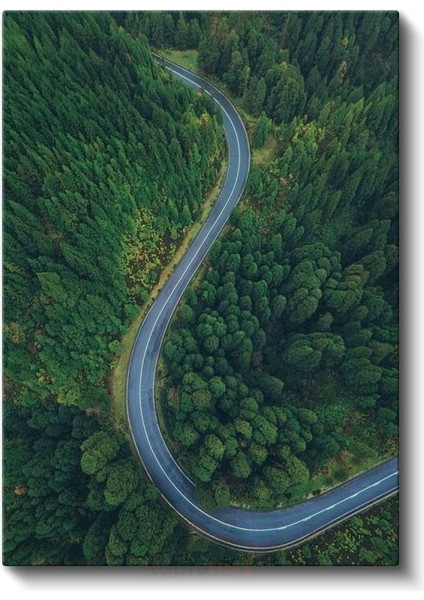 Orman Yolu - Yeşilin Binbir Tonuyla Çevrili Kıvrımlı Patika Kanvas Tablo fiyatları