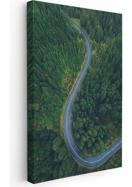Orman Yolu - Yeşilin Binbir Tonuyla Çevrili Kıvrımlı Patika Kanvas Tablo modelleri