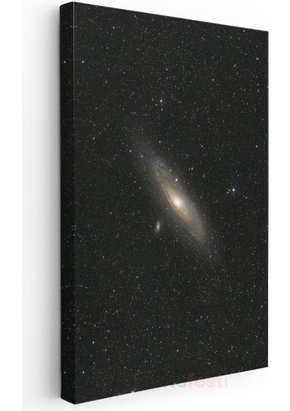 Andromeda - Yıldızlar Arasında Parlayan Galaksi Kanvas Tablo modelleri