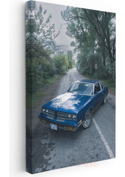 Oldsmobile Cutlass - Mavi Klasik Amerikan Otomobili Kanvas Tablo modelleri