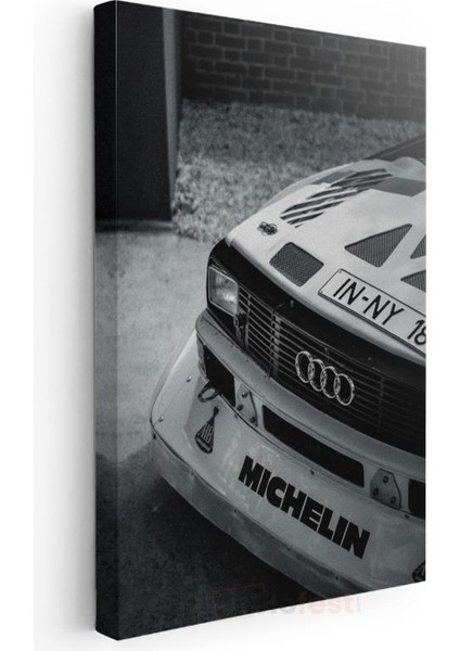 Audi Quattro - Ralli Efsanesi Yarış Ruhu Kanvas Tablo modelleri