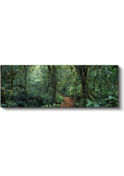 Yağmur Ormanı - Yeşilin Bin Tonu Kanvas Tablo fiyatları