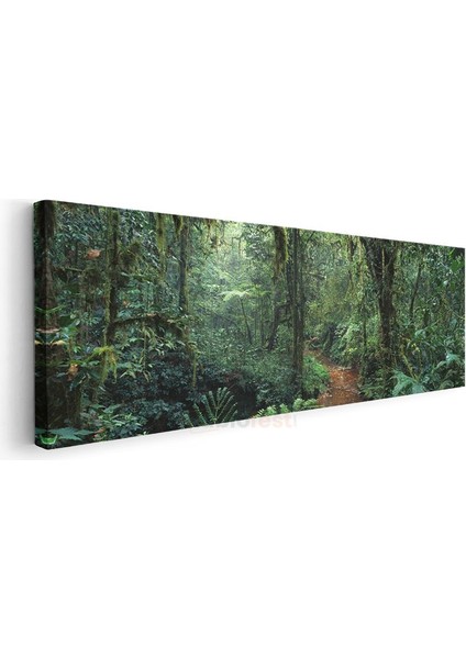 Yağmur Ormanı - Yeşilin Bin Tonu Kanvas Tablo modelleri