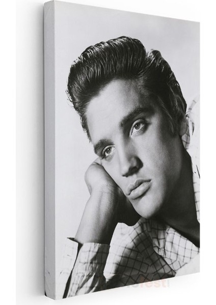 Elvis Presley - Rock'n Roll Efsanesi Kanvas Tablo