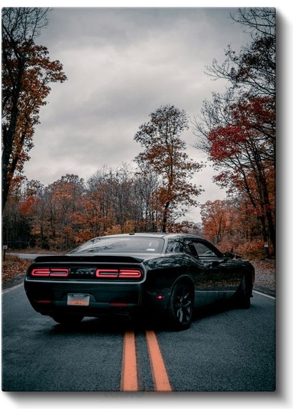 Dodge Challenger - Sonbahar Yolunda Siyah Amerikan Kas Arabası Kanvas Tablo