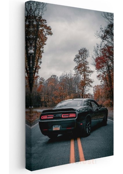 Dodge Challenger - Sonbahar Yolunda Siyah Amerikan Kas Arabası Kanvas Tablo