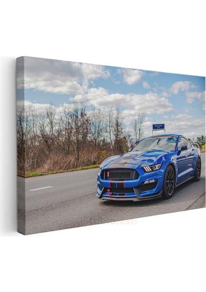 Ford Mustang Shelby GT350 - Mavi Yarış Şeritleri Spor Otomobil Kanvas Tablo modelleri