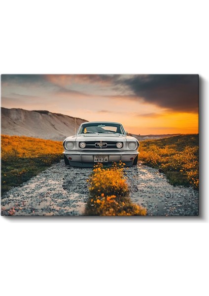 Ford Mustang Klasik - Beyaz Amerikan Muscle Car Kanvas Tablo fiyatları