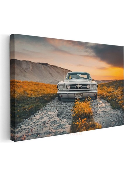 Ford Mustang Klasik - Beyaz Amerikan Muscle Car Kanvas Tablo modelleri