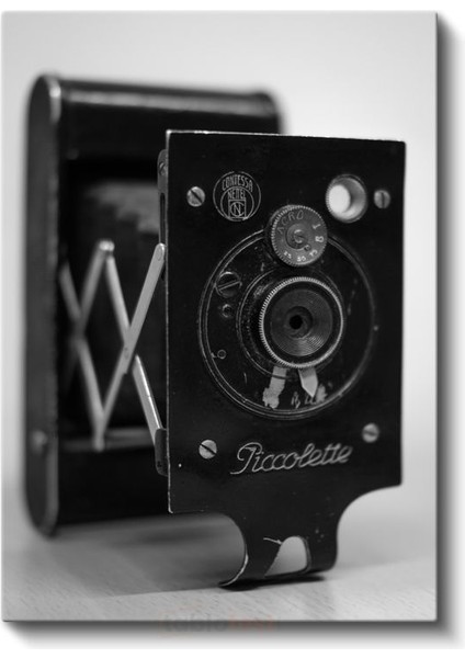 Piccollette Kamera - Katlanabilir Vintage Fotoğraf Makinesi Kanvas Tablo fiyatları
