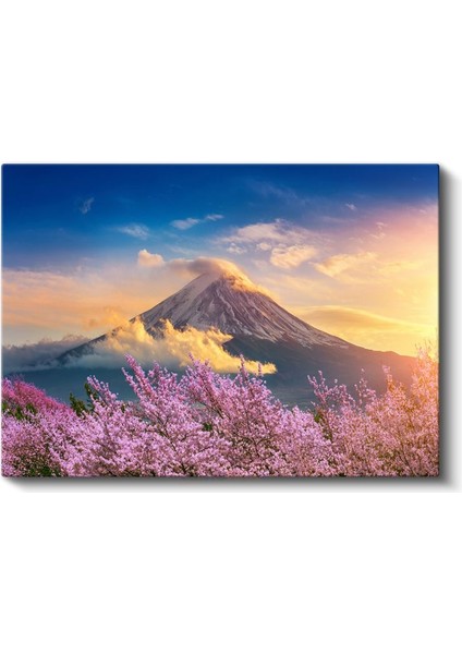 Fuji Dağı - Kiraz Çiçekleri Arasından Muhteşem Görünüm Kanvas Tablo fiyatları