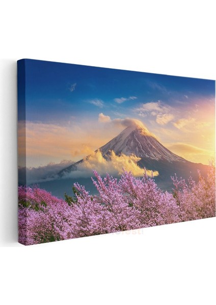 Fuji Dağı - Kiraz Çiçekleri Arasından Muhteşem Görünüm Kanvas Tablo modelleri