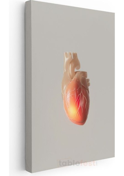 Kardiyolog - Kalp Anatomisi Kanvas Tablo