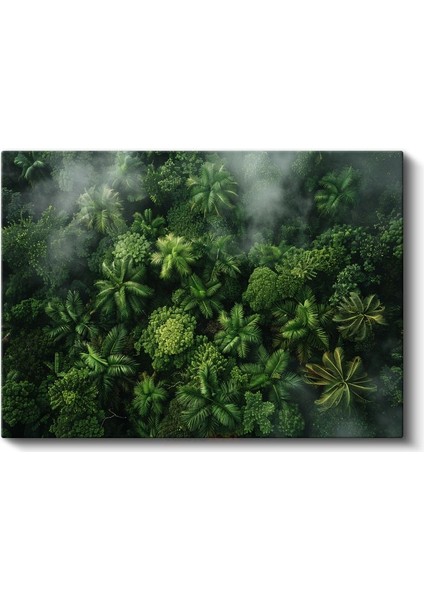Yağmur Ormanı - Yeşilin Binbir Tonu Kanvas Tablo fiyatları