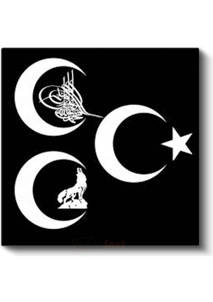 Osmanlı Sembolleri - Hilal ve Tuğra Kompozisyonu Kanvas Tablo fiyatları