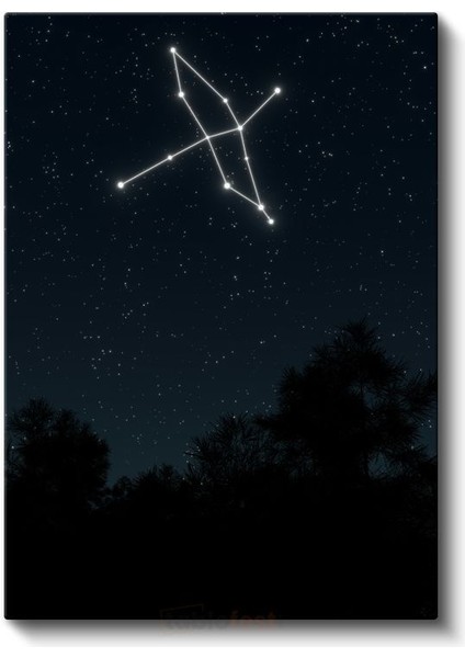 Takımyıldız - Gece Gökyüzünde Parlayan Yıldız Deseni Kanvas Tablo fiyatları