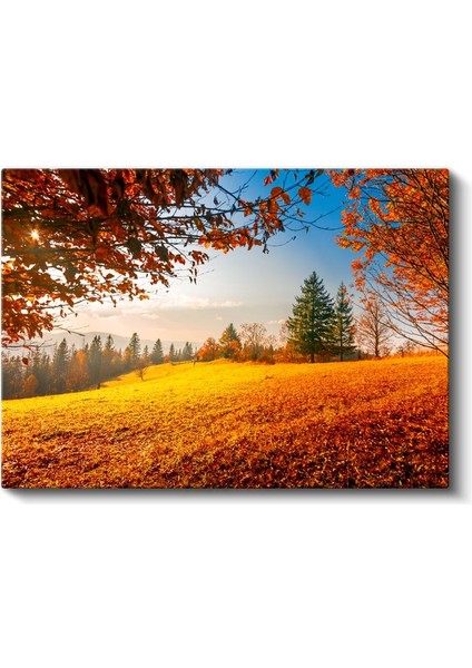 Altın Sonbahar - Sarı Yapraklı Orman Manzarası Kanvas Tablo fiyatları