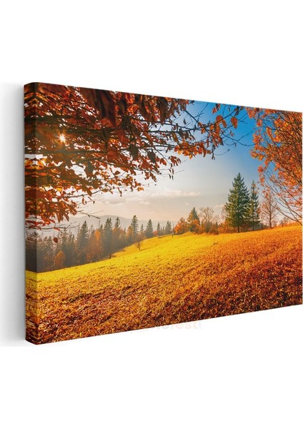 Altın Sonbahar - Sarı Yapraklı Orman Manzarası Kanvas Tablo modelleri