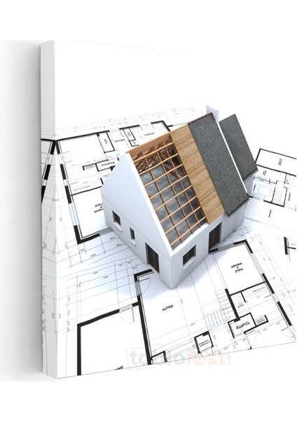 Mimar - Çatı Detayları ve Yapı Planı Kanvas Tablo modelleri