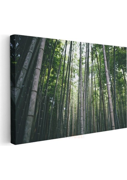 Bambu Ormanı - Göğe Uzanan Yeşil Sütunlar Kanvas Tablo modelleri