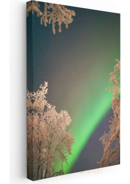 Kuzey Işıkları - Karlı Ağaçlar Arasında Aurora Kanvas Tablo modelleri