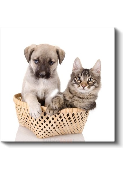 Sepetteki Dostlar - Yavru Köpek ve Kedi İkilisi Kanvas Tablo