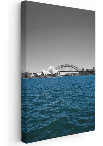 Sydney Opera Binası - Ikonik Liman Manzarası Kanvas Tablo modelleri
