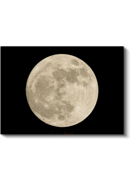 Dolunay - Parlayan Gece Işığı Kanvas Tablo fiyatları