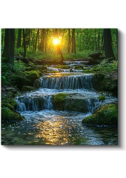 Orman Şelalesi - Güneş Işığında Akan Su Kanvas Tablo fiyatları