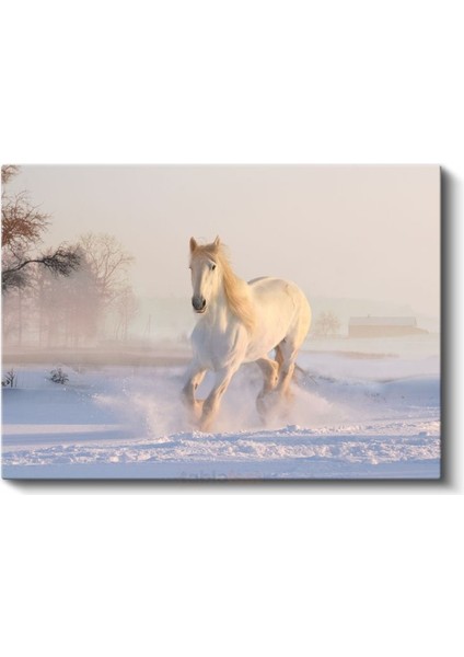 Kış Koşusu - Karlı Zeminde İlerleyen Beyaz At Kanvas Tablo fiyatları