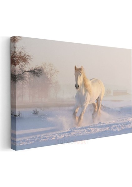 Kış Koşusu - Karlı Zeminde İlerleyen Beyaz At Kanvas Tablo modelleri